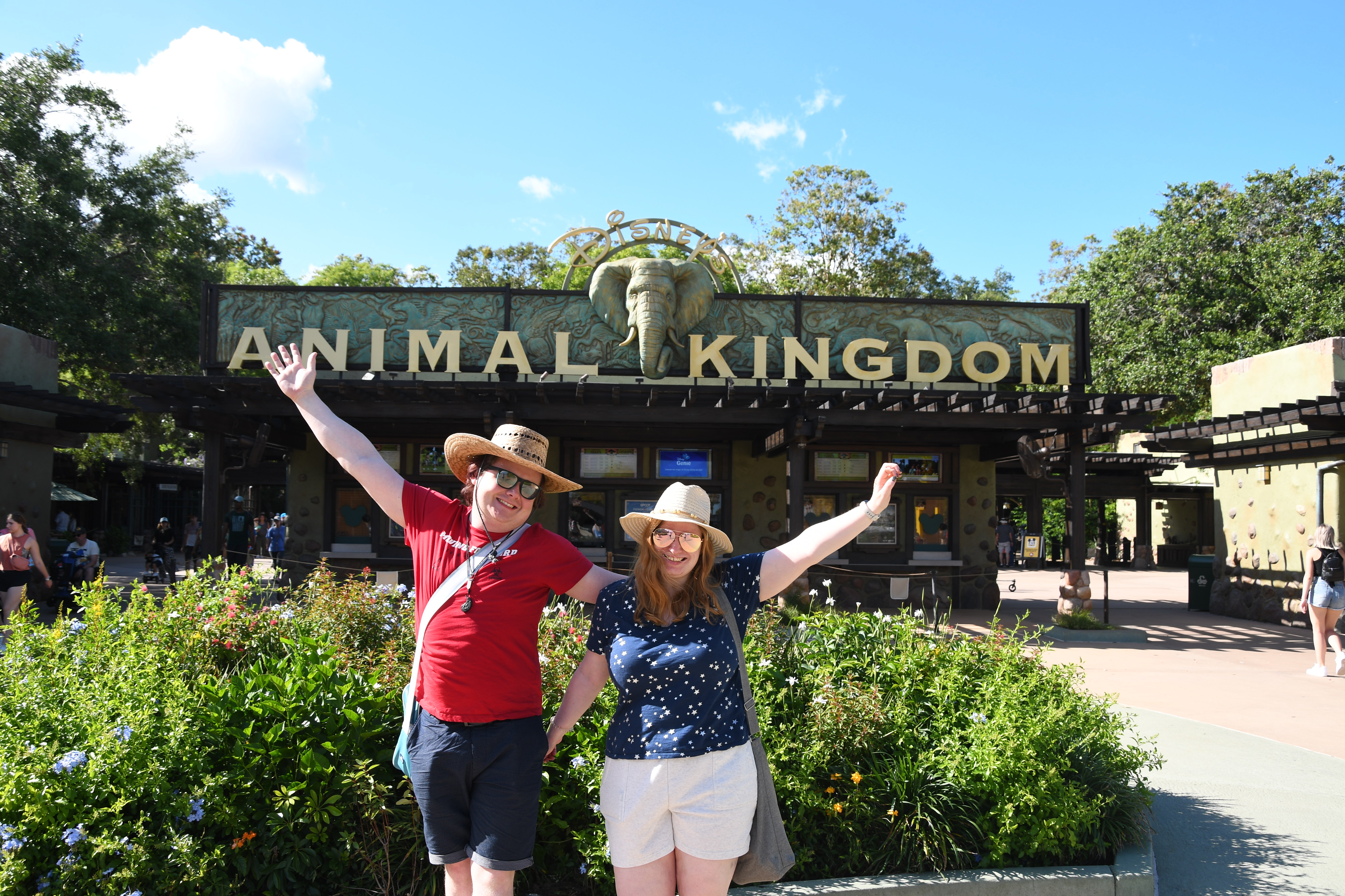 Disney World: Animal Kingdom